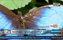 โลกเข้าสู่ยุค “สูญพันธุ์ครั้งใหญ่” รอบที่ 6