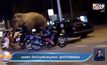 วงแตก! ช้างป่าบุกร้านหมูกระทะ ลูกค้ากำลังอร่อย