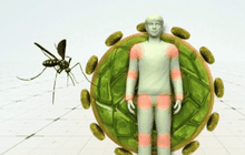 ไวรัสซิการะบาดทั่วทวีปอเมริกา