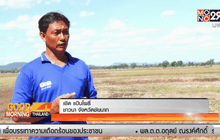 ชาวนาภาคกลางดิ้นหนีวิกฤตภัยแล้ง