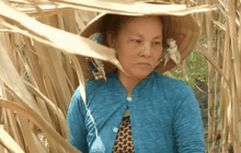 ภัยแล้ง-ปัญหาน้ำเค็มในเวียดนาม