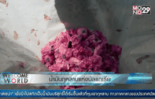 น้ำมันกุหลาบแห่งบัลแกเรีย