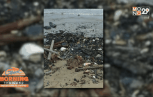 พบคราบน้ำมันจำนวนมาก บนชายหาดนครศรีฯ