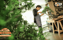 บอนไซ ดีไซเนอร์