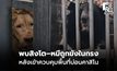 อึ้งหนัก! ฉก.นย.ตราด เข้าควบคุมพื้นที่บ่อนคาสิโน พบสิงโต–หมีถูกขังในกรง