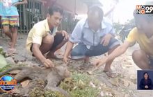 ช่วยชีวิตลิงแสมถูกไฟดูดตกจากเสาไฟสูง 10 เมตร