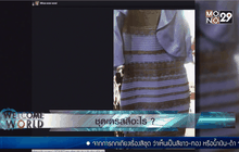 ชุดเดรสสีอะไร ?