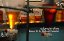 ปลุกเมืองให้โลกเปลี่ยน กับกิจกรรม “เมืองนี้ฉันรัก” ตอน2