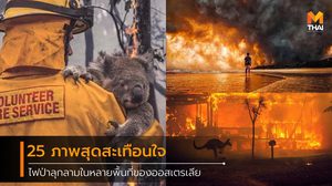รวมภาพไฟนรกกำลังเผาไหม้ในหลายพื้นที่ของ ออสเตรเลีย ส่งผลให้สัตว์ป่าล้มตายกันเป็นว่าเล่น