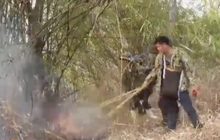 ไฟป่าเชียงใหม่พุ่ง พบมากกว่า 5 พันจุด