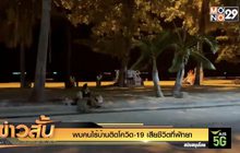 พบคนไร้บ้านติดโควิด-19 เสียชีวิตที่พัทยา