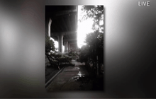 กฟน. เร่งแก้ปัญหาต้นไม้ล้มทับสายไฟฟ้าแรงสูง