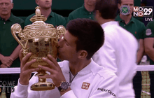 สรุปผลเทนนิสรายการวิมเบิลดัน