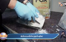 ยึดโคเคนครั้งใหญ่สุดในยุโรป