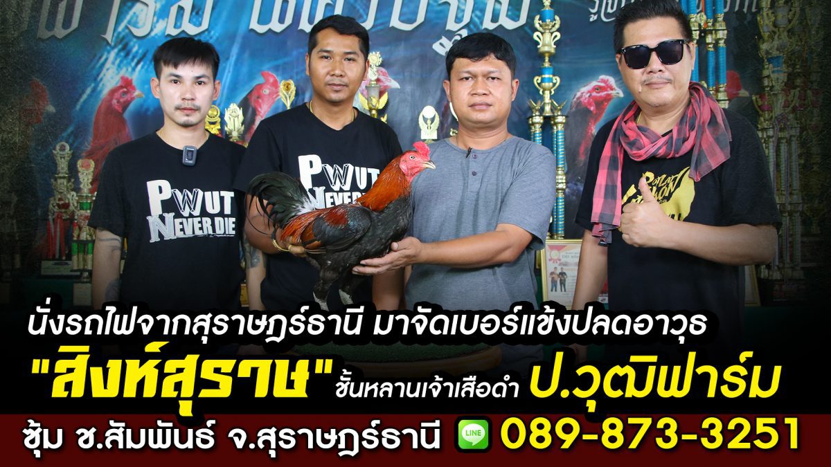 ซุ้ม ช.สัมพันธ์ รับมอบ “เจ้าสิงห์สุราษ” เบอร์แข้งปลดอาวุธ ป.วุฒิฟาร์ม