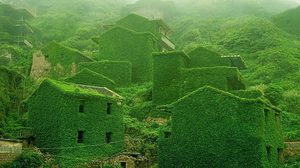 หมู่บ้านชาวประมงร้างในจีน ถูกเติมเต็มด้วยธรรมชาติ กลายเป็นแหล่งท่องเที่ยวแห่งใหม่!