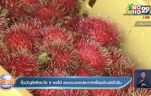ขึ้นบัญชีเฝ้าระวัง 9 ผลไม้ ลอบขนจากประเทศเพื่อนบ้านส่งไปจีน