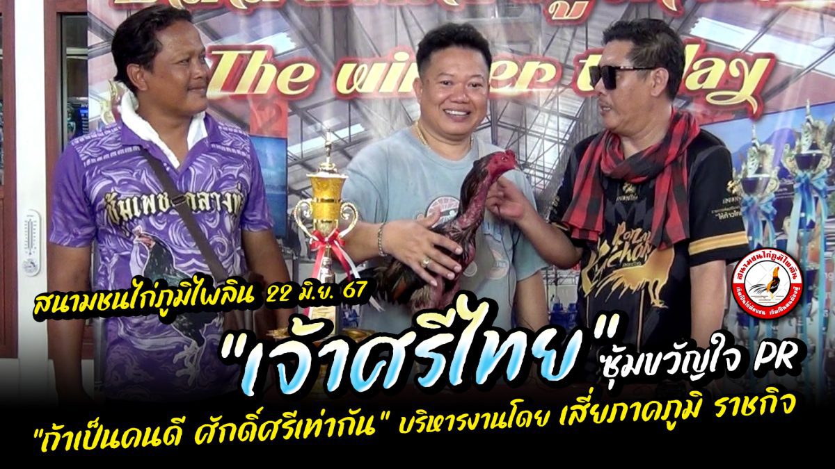 “เจ้าศรีไทย” ซุ้มขวัญใจ PR สนามชนไก่ภูมิไพลิน อา. 22 มิ.ย. 67 #น้อยรอยลาย.com