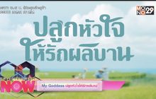 My Goddess ปลูกหัวใจให้รักผลิบาน