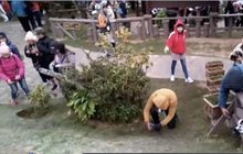 ภาคเหนืออากาศหนาวเย็นต่อเนื่อง