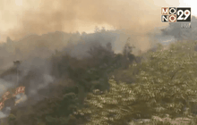 นายกฯ ห่วงปัญหาหมอกควัน ลงพื้นที่เชียงใหม่ 27 เม.ย.นี้