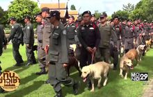 ตั้งกองทุนสวัสดิการช่วยสุนัขตำรวจหลังเกษียณ