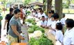 ตลาดนัดหนูน้อยบ้านเขาหลัก