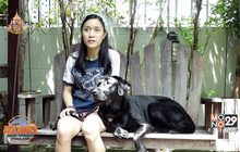 “ลูเตอร์” สุนัขนำทาง