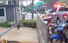 น้ำท่วม อ.บางสะพานน้อย จ.ประจวบคีรีขันธ์