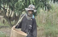 รัฐอนุมัติ 4.3 พันล้านดูแลเกษตรกร