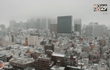 หิมะตกหนักในกรุงโตเกียว ญี่ปุ่น