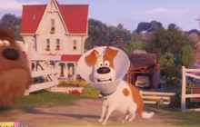 Secret Life of Pets 2