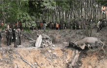 ตรวจสอบช้างป่าเขาอ่างฤาไนล้มตายคาดถูกไฟช็อต