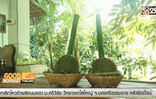 ทุเรียนนนท์ ผลไม้ราคาหลักหมื่น