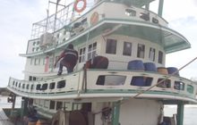 ตรวจยึดเรือจับฉลามวาฬ จ.ภูเก็ต