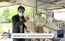 “ก้องเกียรติ ถาดทอง” เจ้าชายสัตว์แบบอย่างเกษตรกรคนเมือง