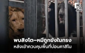 อึ้งหนัก! ฉก.นย.ตราด เข้าควบคุมพื้นที่บ่อนคาสิโน พบสิงโต–หมีถูกขังในกรง