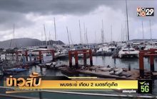 พบจระเข้ เกือบ 2 เมตรที่ภูเก็ต