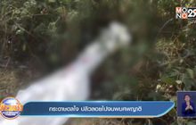 กระดาษดลใจ ปลิวลอยไปจนพบศพญาติ