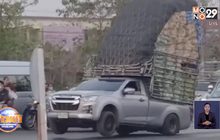 เรียกคนขับรถบรรทุกผักยกล้อมาแจ้งข้อหาขับประมาท