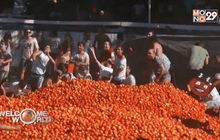 สงครามมะเขือเทศในชิลี