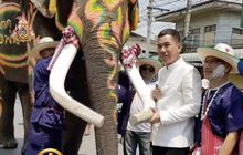 แห่ช้างบวชนาค จ.สุโขทัย
