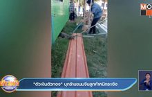 ‘ตัวเงินตัวทอง’ บุกร้านขนมจีนลูกค้าหนีกระเจิง