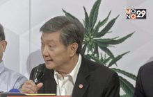 เตรียมอบรมแพทย์-เภสัชกร นำกัญชารักษาโรค
