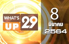 What’s up 29 08-03-64