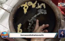 วันหวยออกคึกคักแห่ขอเลขเด็ด