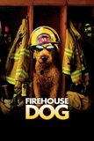 Firehouse Dog ยอดคุณตูบ ฮีโร่นักดับเพลิง