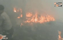 ผู้นำมาเลย์จี้อินโดฯ ลงดาบบริษัทลอบเผาป่า