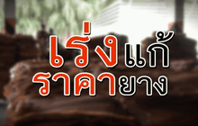 The Day News Update 11-01-59