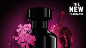 BLACK MUSK มนต์เสน่ห์แห่งกลิ่นอันลึกลับเย้ายวนใจ จาก เดอะบอดี้ ช็อป